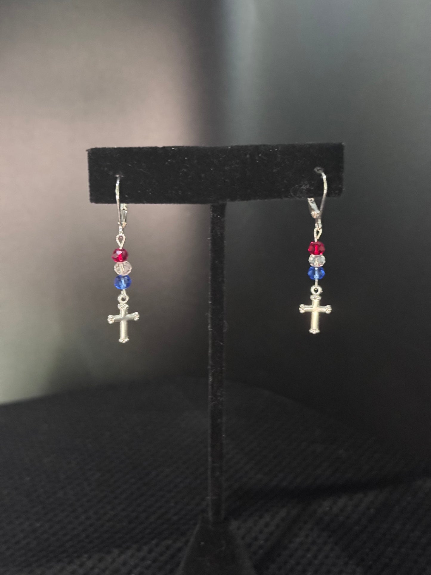 Everyday Patriotism Earrings