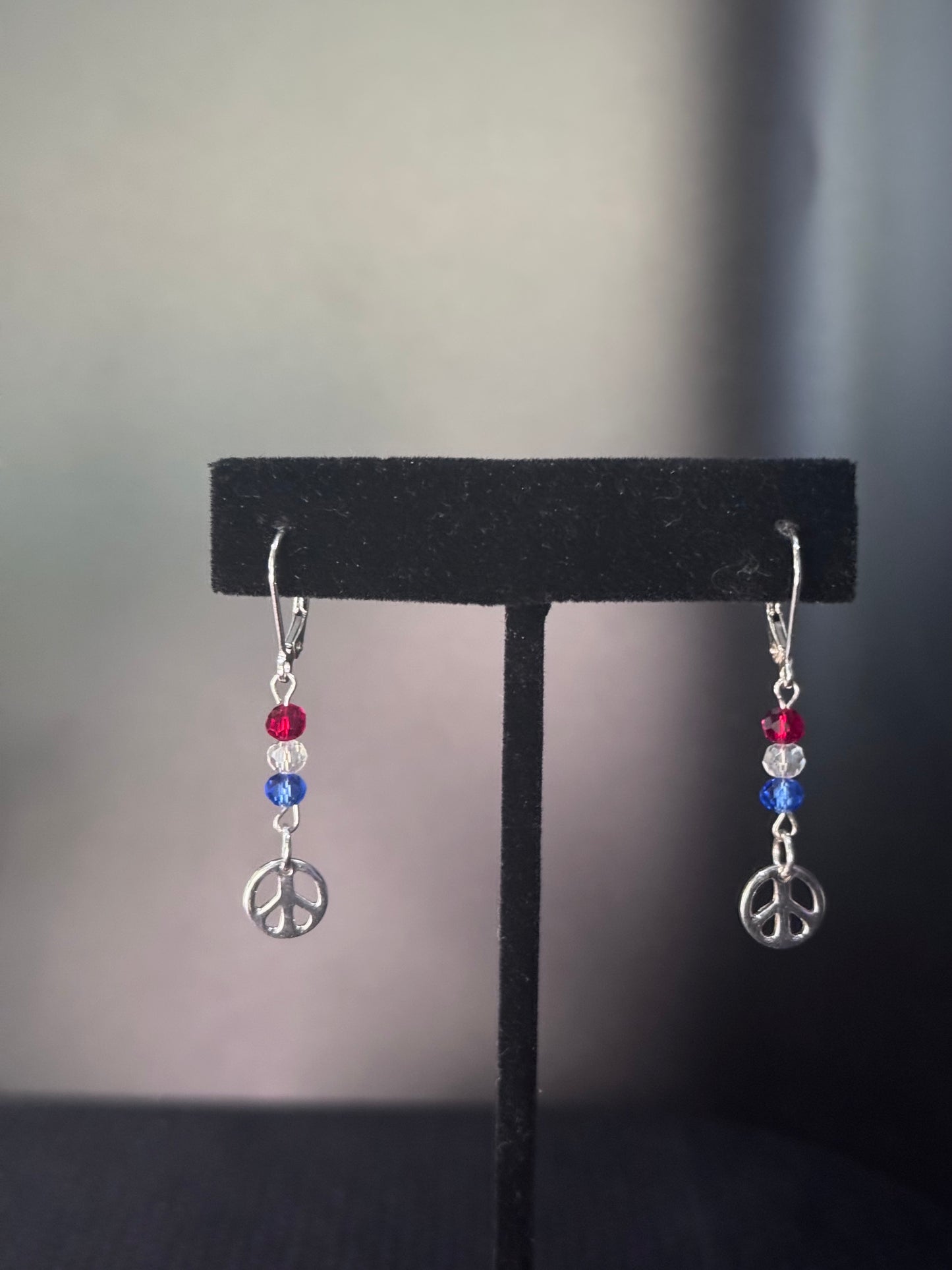 Everyday Patriotism Earrings