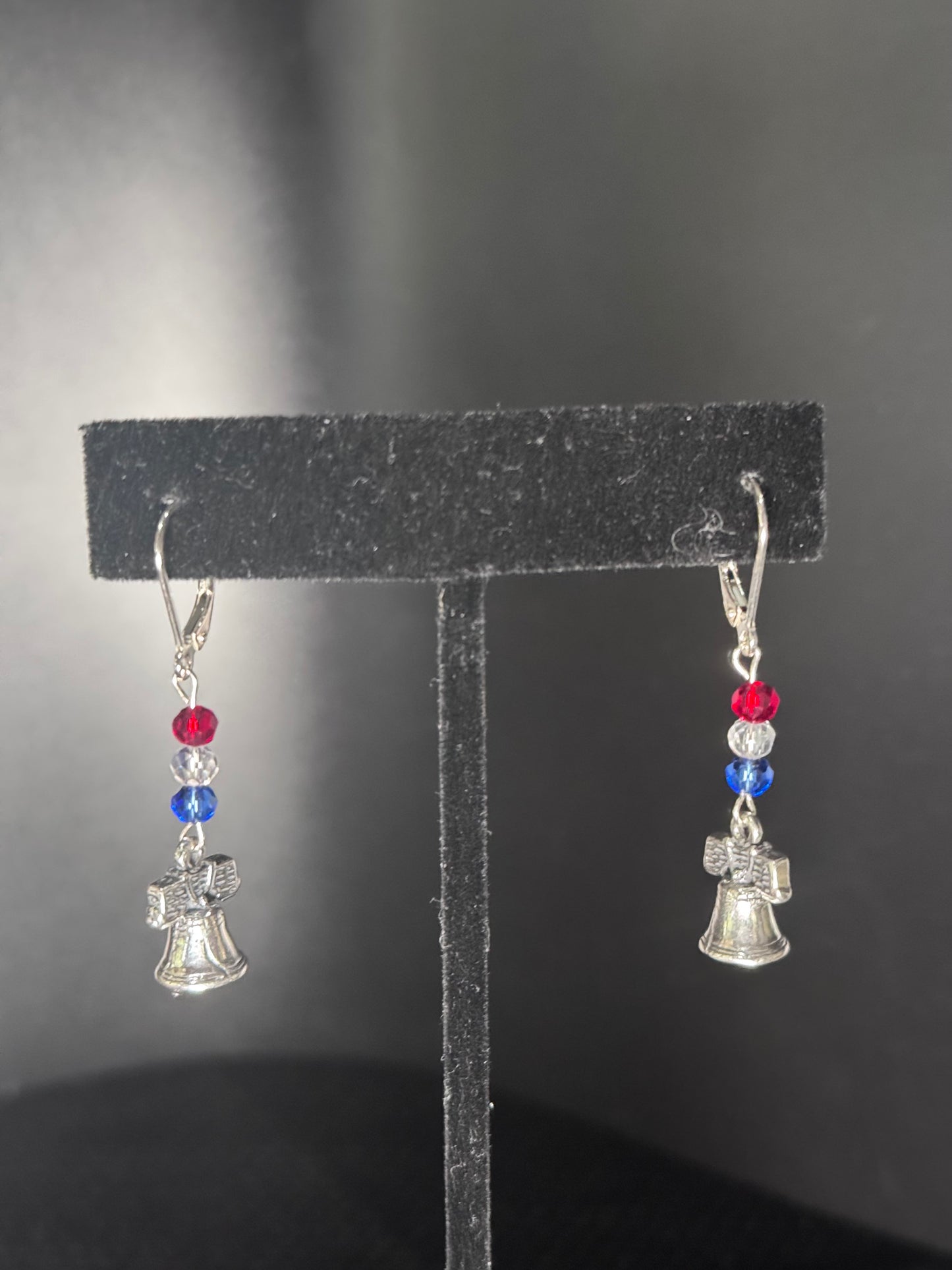 Everyday Patriotism Earrings